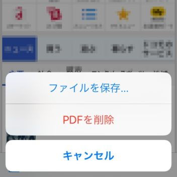 iPhone→Safari→PDF